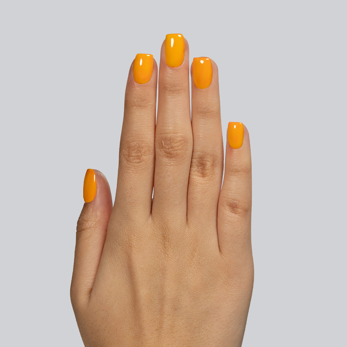 138 Mango
