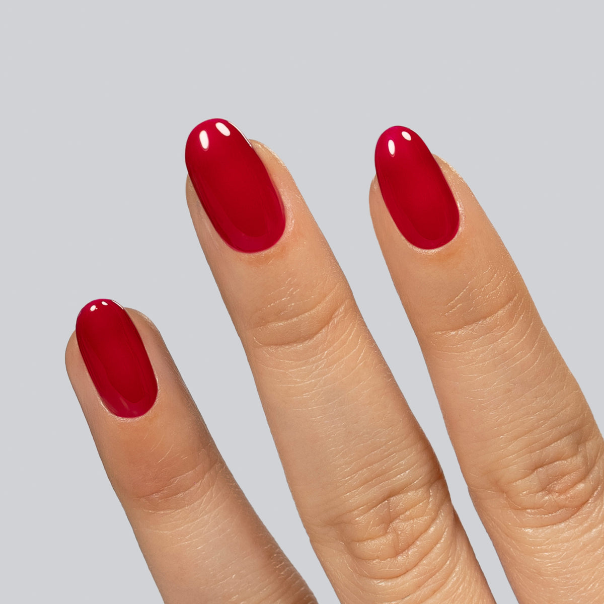 135 Hibiscus
