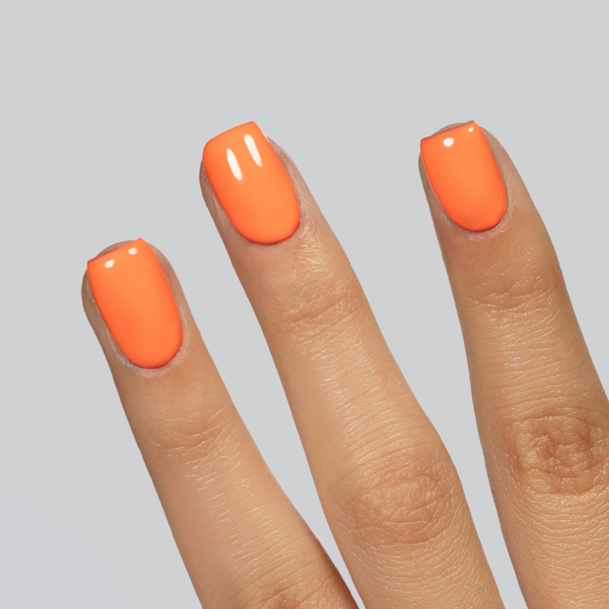033 Corail