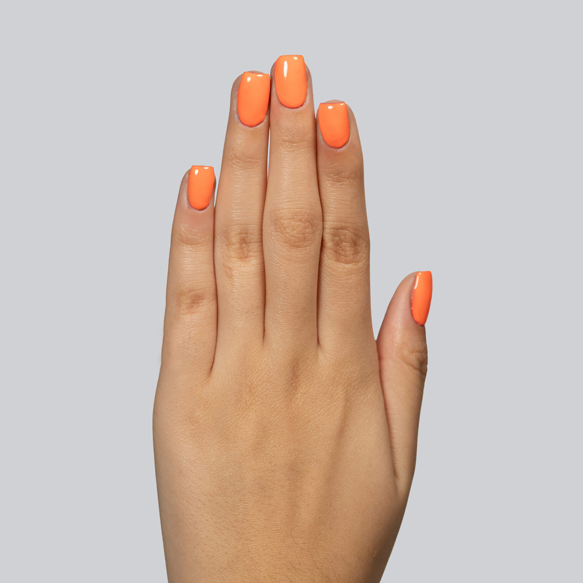 033 Corail