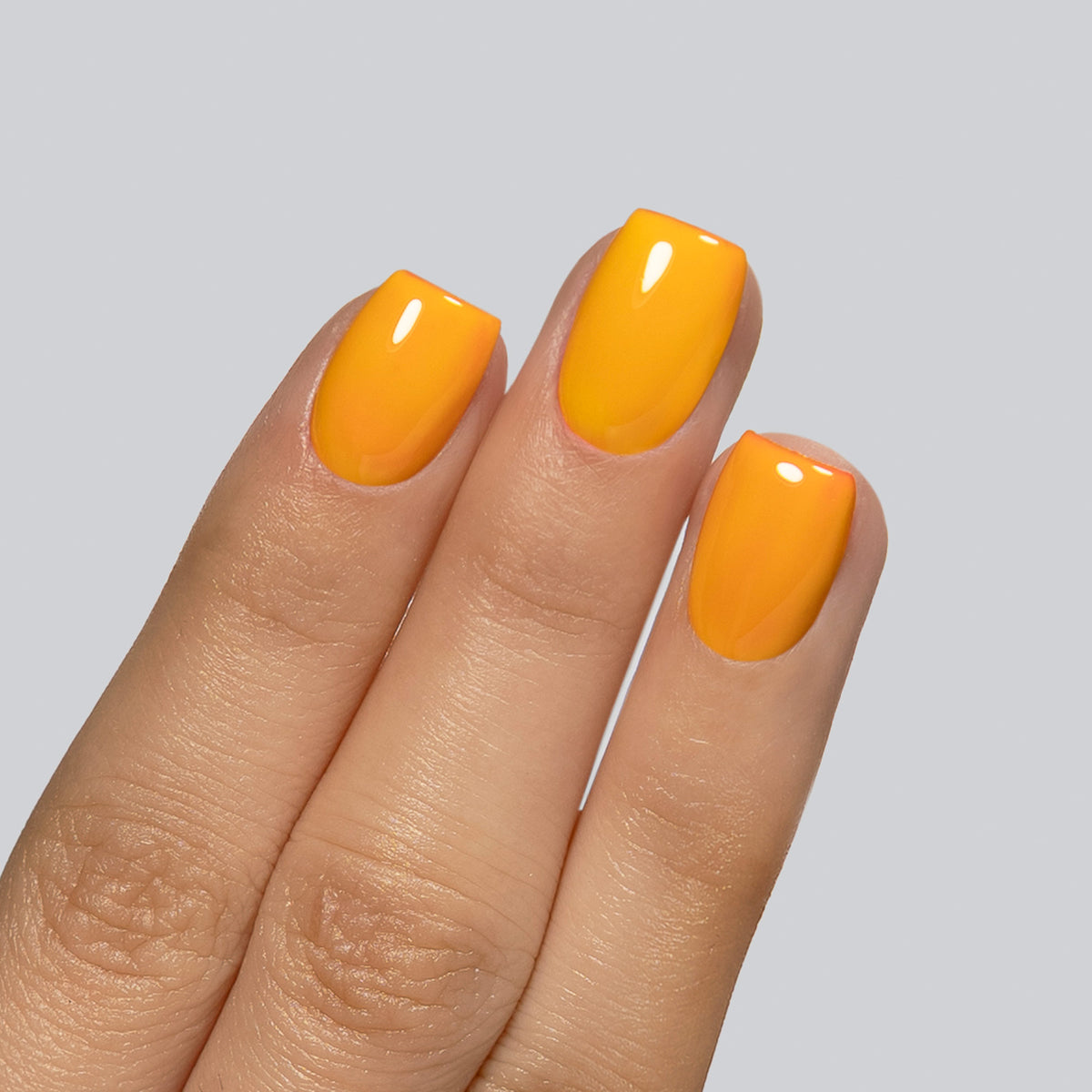 138 Mango