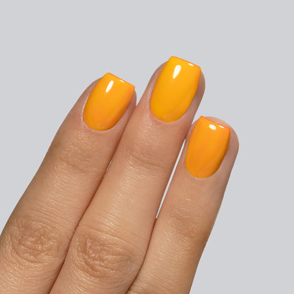 138 Mango