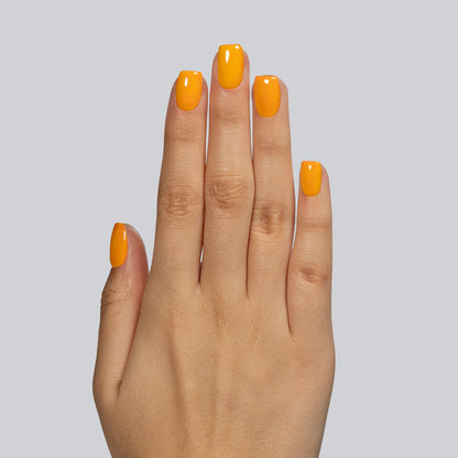 138 Mango